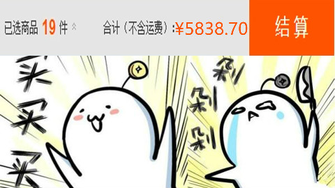 2017双十一购物记录(上)-花了5000多,大家好我叫维纳斯。